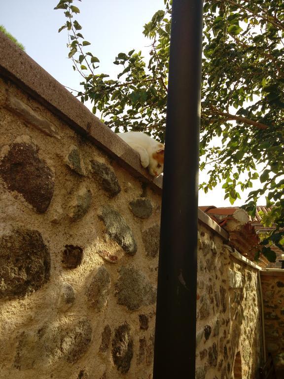 Aristonicus Boutique Hotel Bergama Luaran gambar