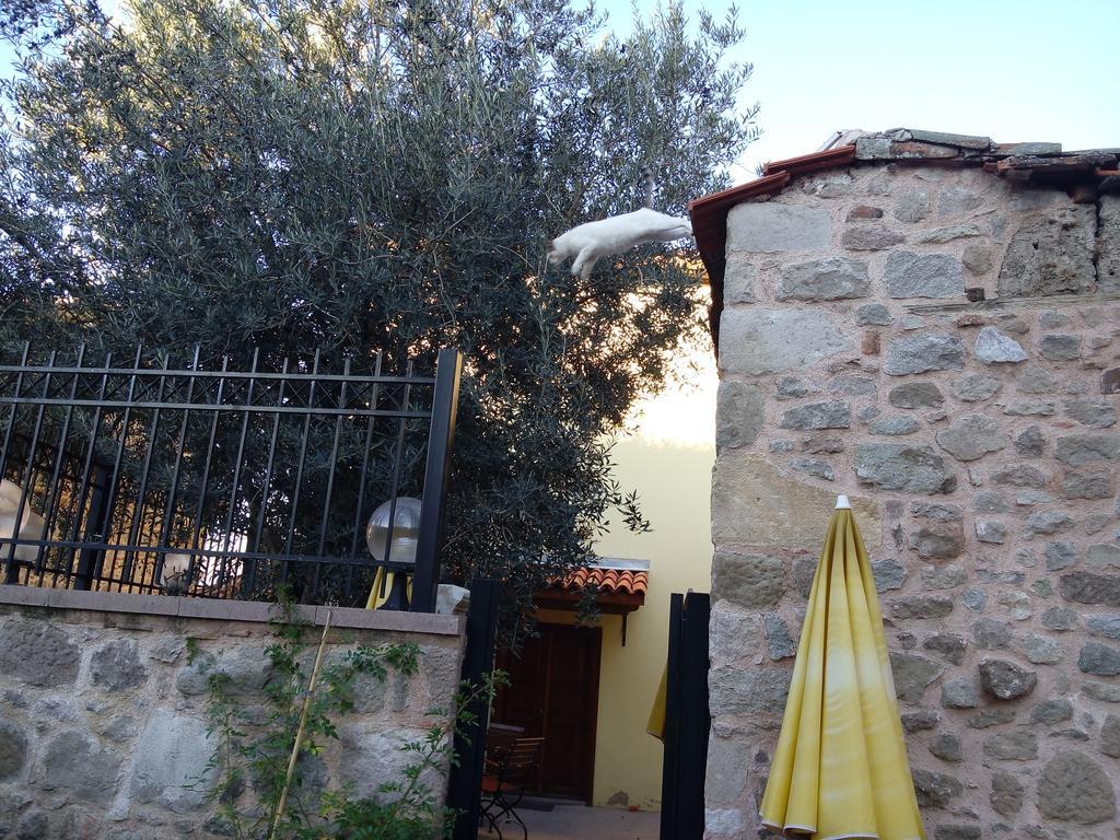 Aristonicus Boutique Hotel Bergama Luaran gambar